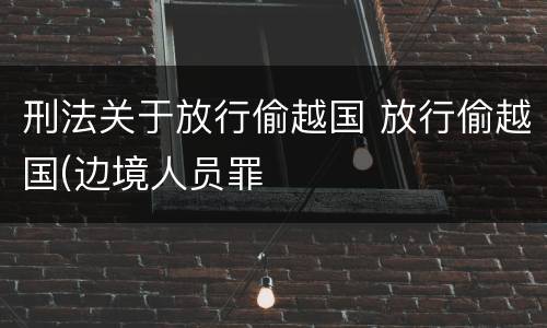 刑法关于放行偷越国 放行偷越国(边境人员罪