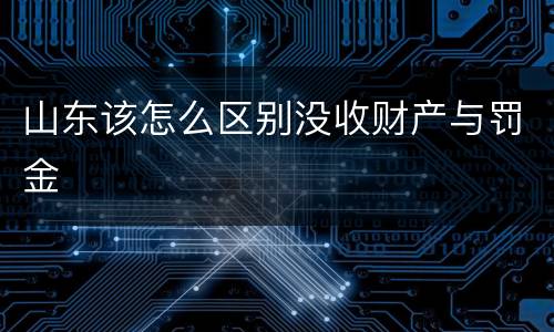 山东该怎么区别没收财产与罚金