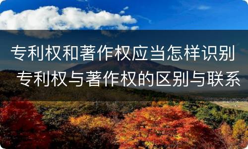 专利权和著作权应当怎样识别 专利权与著作权的区别与联系