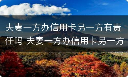 夫妻一方办信用卡另一方有责任吗 夫妻一方办信用卡另一方有责任吗知乎