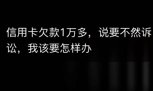 信用卡欠款1万多，说要不然诉讼，我该要怎样办
