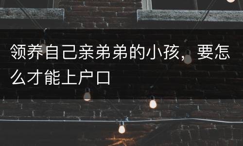 领养自己亲弟弟的小孩，要怎么才能上户口