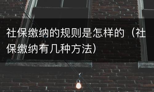 社保缴纳的规则是怎样的（社保缴纳有几种方法）