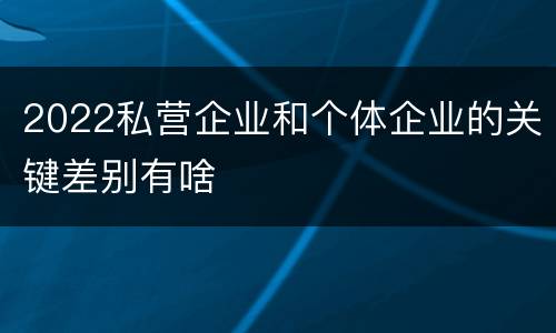 2022私营企业和个体企业的关键差别有啥