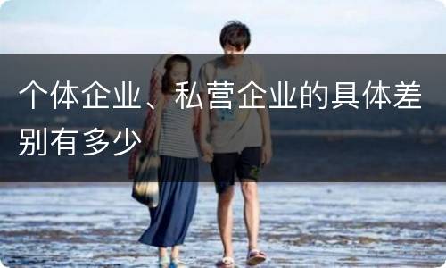 个体企业、私营企业的具体差别有多少