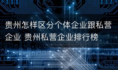 贵州怎样区分个体企业跟私营企业 贵州私营企业排行榜