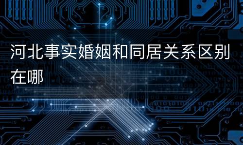 河北事实婚姻和同居关系区别在哪