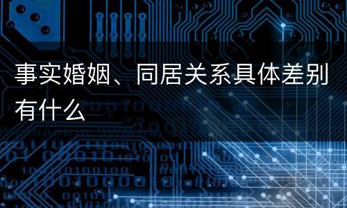 事实婚姻、同居关系具体差别有什么