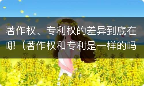 著作权、专利权的差异到底在哪（著作权和专利是一样的吗）