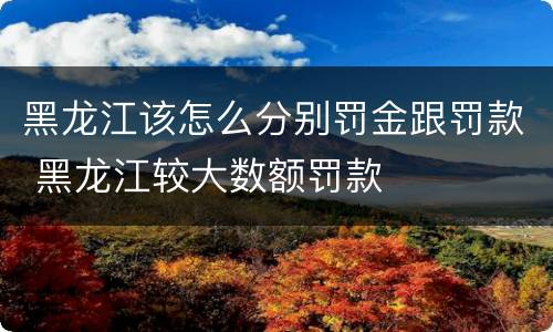 黑龙江该怎么分别罚金跟罚款 黑龙江较大数额罚款