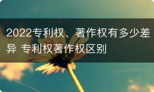 2022专利权、著作权有多少差异 专利权著作权区别