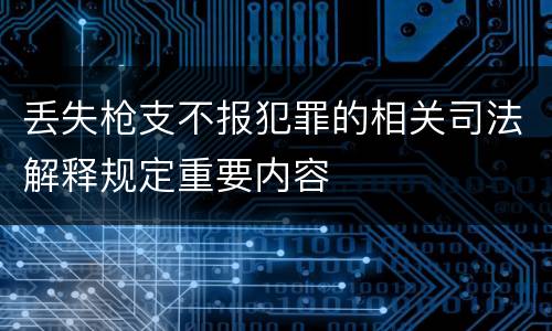 丢失枪支不报犯罪的相关司法解释规定重要内容