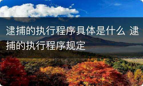 逮捕的执行程序具体是什么 逮捕的执行程序规定