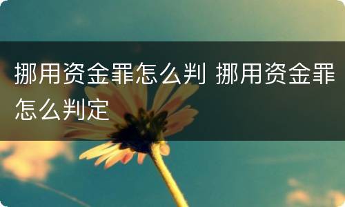 挪用资金罪怎么判 挪用资金罪怎么判定