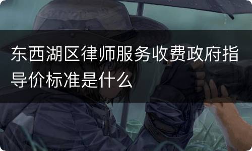 东西湖区律师服务收费政府指导价标准是什么