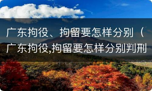 广东拘役、拘留要怎样分别（广东拘役,拘留要怎样分别判刑）