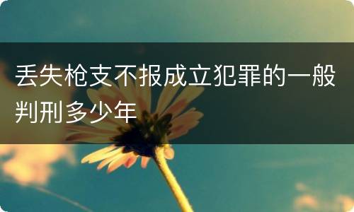 丢失枪支不报成立犯罪的一般判刑多少年