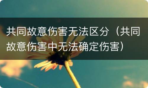 共同故意伤害无法区分（共同故意伤害中无法确定伤害）