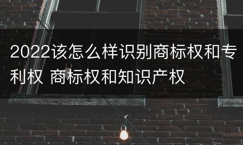 2022该怎么样识别商标权和专利权 商标权和知识产权