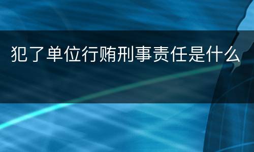 犯了单位行贿刑事责任是什么