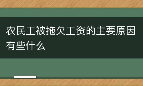农民工被拖欠工资的主要原因有些什么