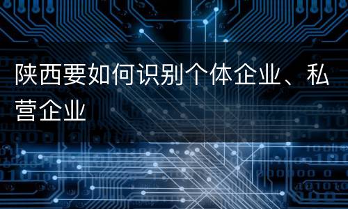 陕西要如何识别个体企业、私营企业