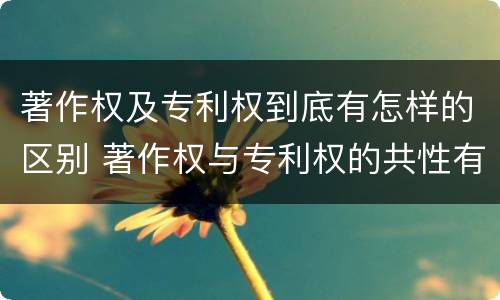 著作权及专利权到底有怎样的区别 著作权与专利权的共性有