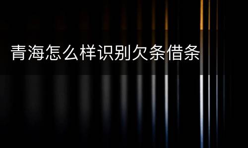 青海怎么样识别欠条借条