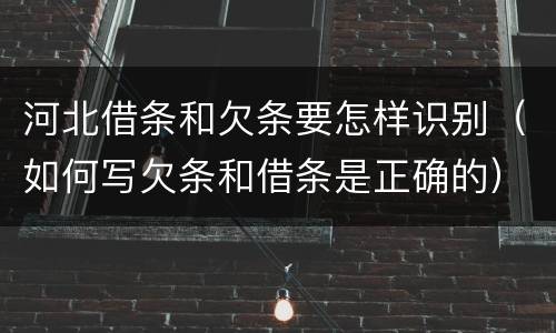 河北借条和欠条要怎样识别（如何写欠条和借条是正确的）