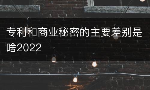专利和商业秘密的主要差别是啥2022