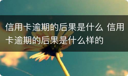 信用卡逾期的后果是什么 信用卡逾期的后果是什么样的