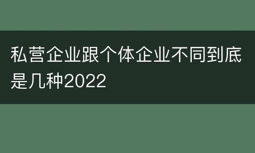 私营企业跟个体企业不同到底是几种2022
