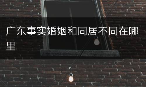 广东事实婚姻和同居不同在哪里