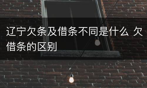 辽宁欠条及借条不同是什么 欠借条的区别