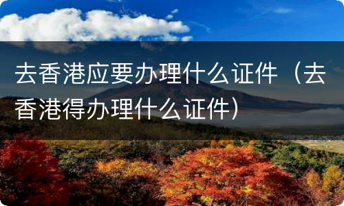 去香港应要办理什么证件（去香港得办理什么证件）