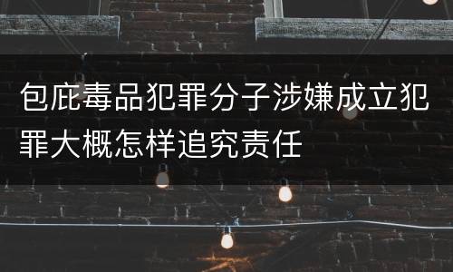 包庇毒品犯罪分子涉嫌成立犯罪大概怎样追究责任