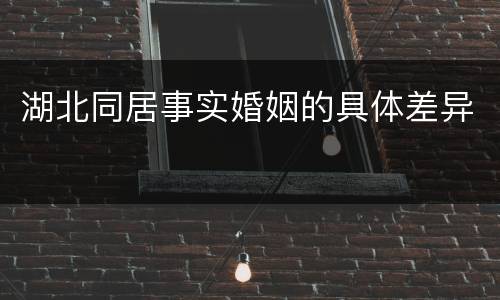 湖北同居事实婚姻的具体差异