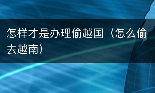 怎样才是办理偷越国（怎么偷去越南）