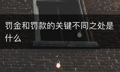 罚金和罚款的关键不同之处是什么
