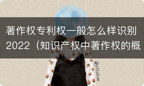 著作权专利权一般怎么样识别2022（知识产权中著作权的概念）