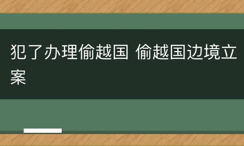 犯了办理偷越国 偷越国边境立案