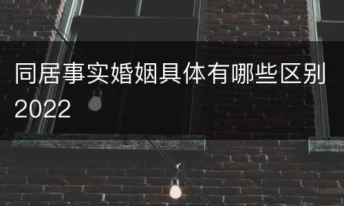 同居事实婚姻具体有哪些区别2022
