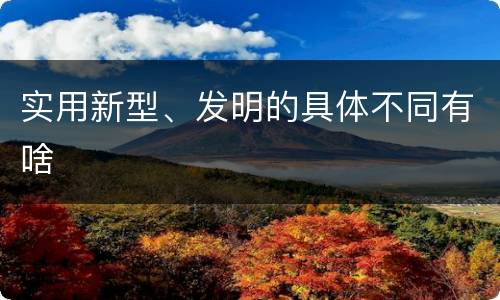 实用新型、发明的具体不同有啥