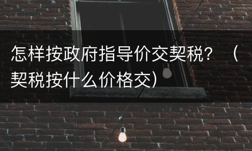 怎样按政府指导价交契税？（契税按什么价格交）