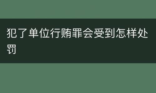 犯了单位行贿罪会受到怎样处罚