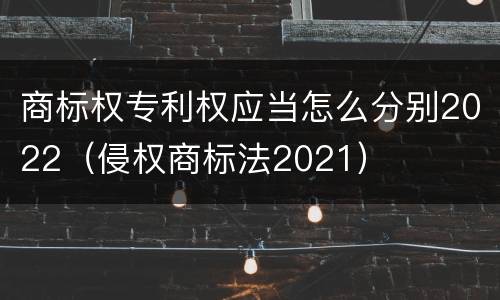 商标权专利权应当怎么分别2022（侵权商标法2021）