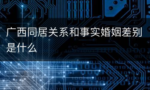 广西同居关系和事实婚姻差别是什么