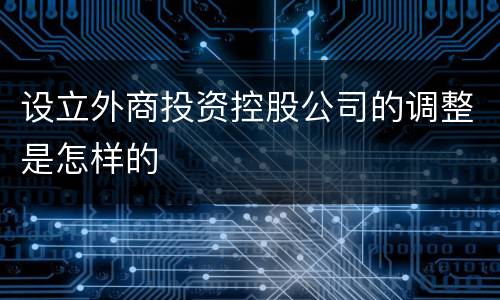 设立外商投资控股公司的调整是怎样的