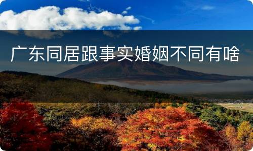 广东同居跟事实婚姻不同有啥
