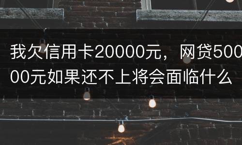 我欠信用卡20000元，网贷50000元如果还不上将会面临什么的刑事处罚